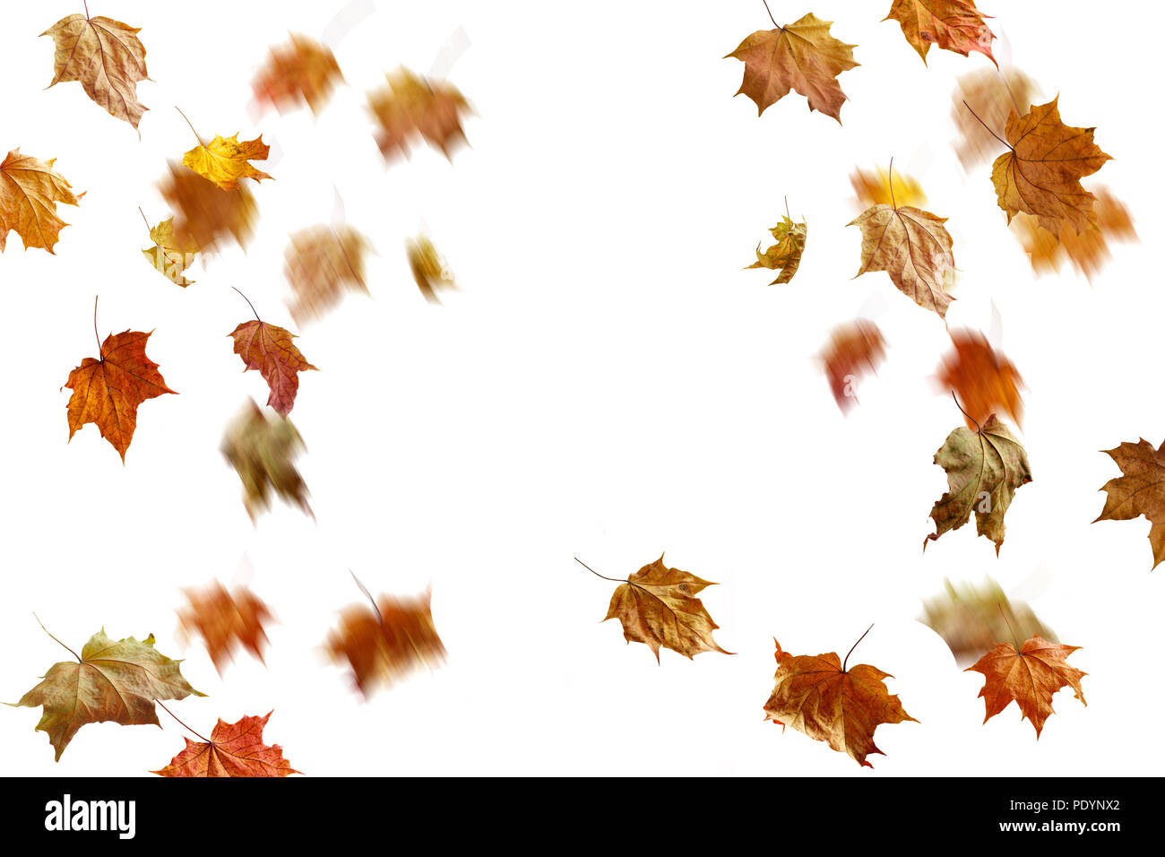 border frame of colorful autumn leaves isolated on white background ...