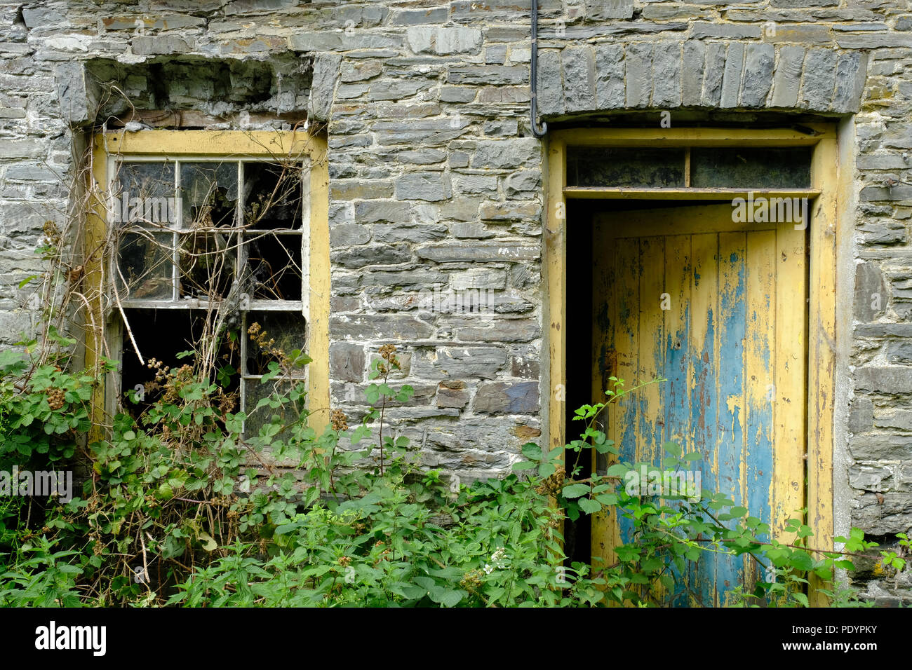 window and door of an abandoned house Stock Photo
