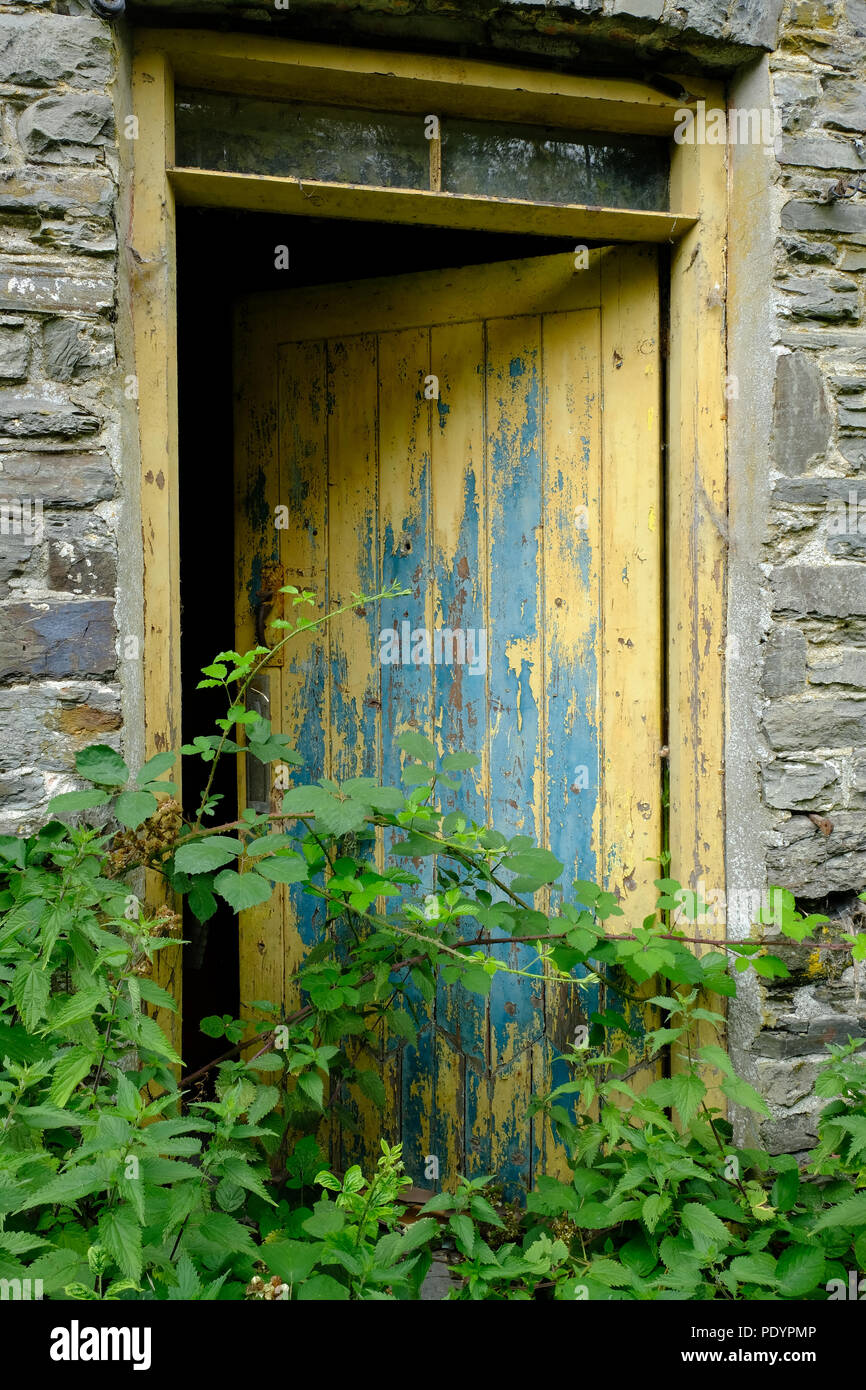 painted door of an abandoned cottage Stock Photo