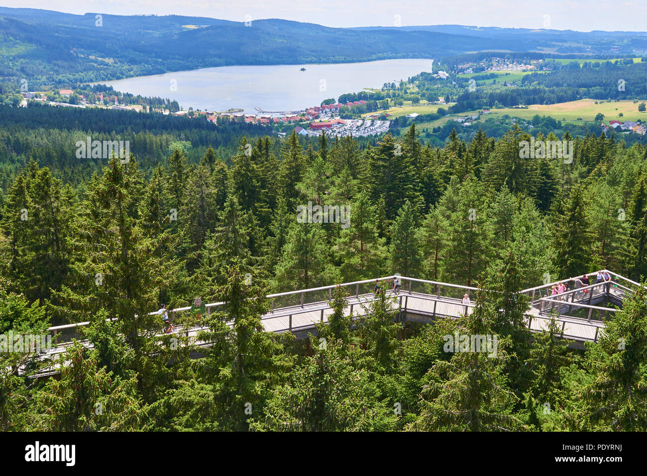 Tourists at The Treetop Tower Walkway discovering the beauty of the Sumava National Park (Bohemian Forest) Stock Photo
