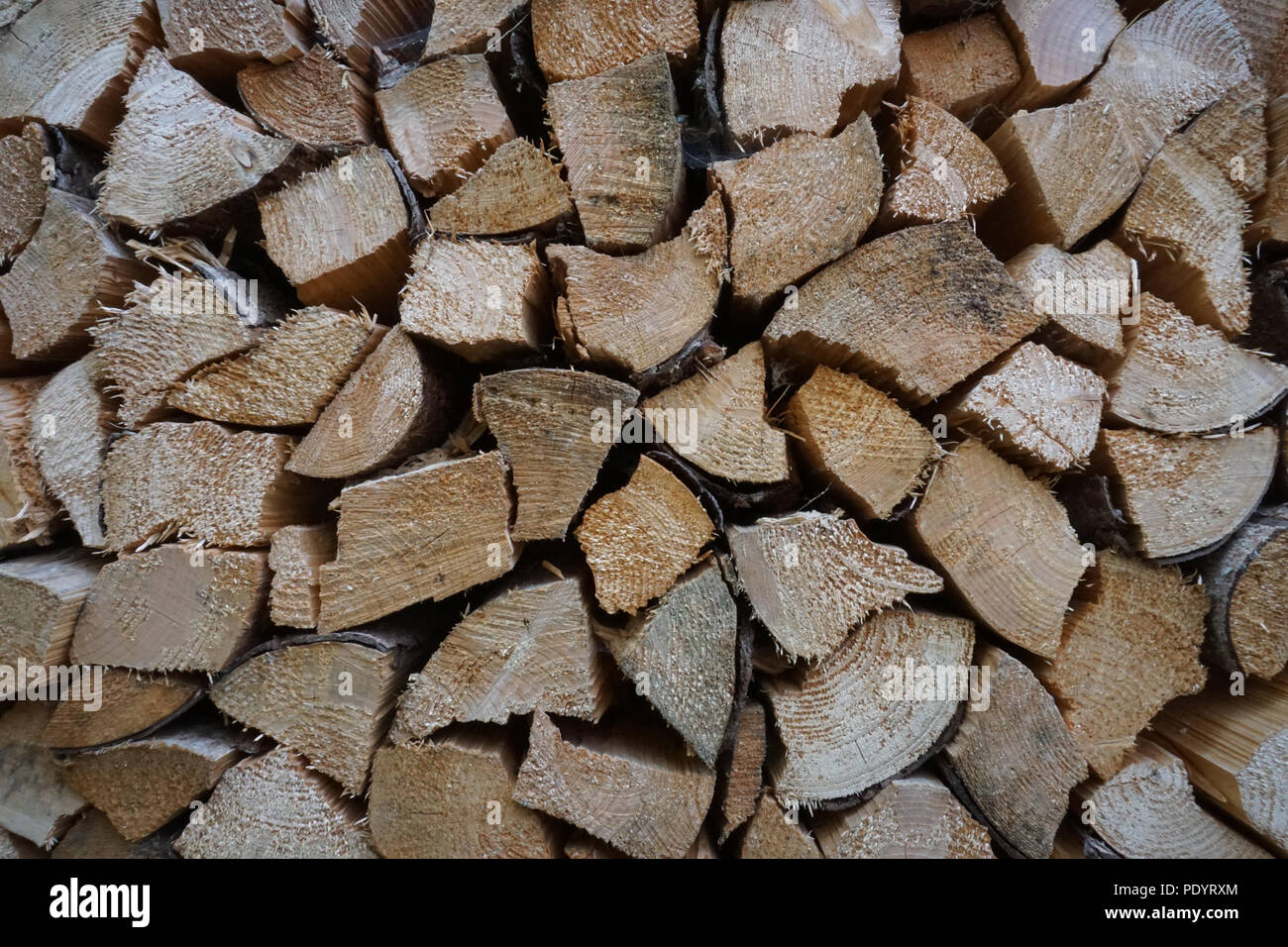 drying stacked wood Stock Photo