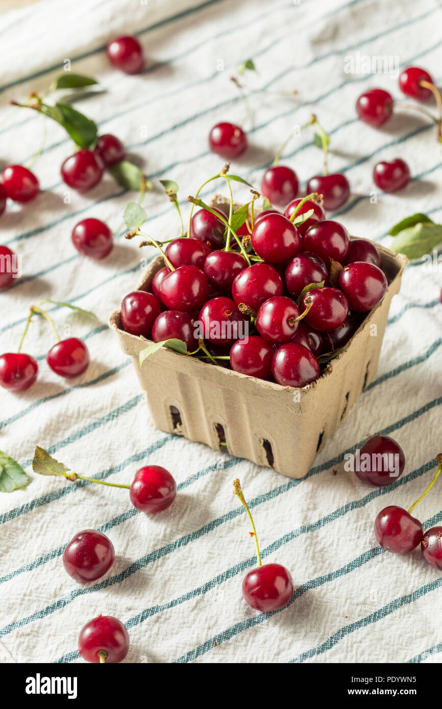 Raw Red Organic Tart Cherries Ready to Eat Stock Photo