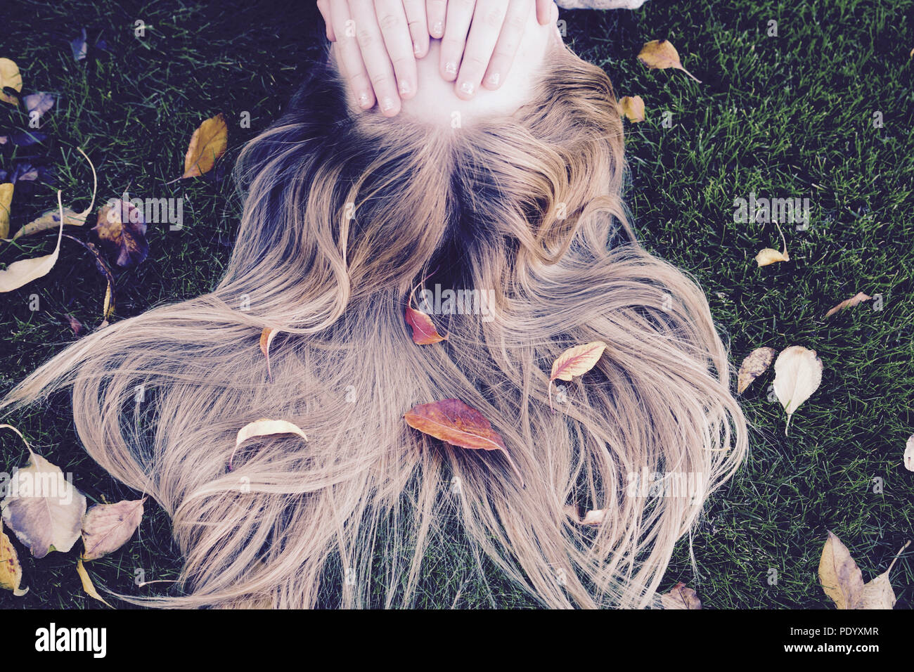 On a Fall afternoon a girl lies on the ground covering her face while leaves are scattered around her head on the grass Stock Photo