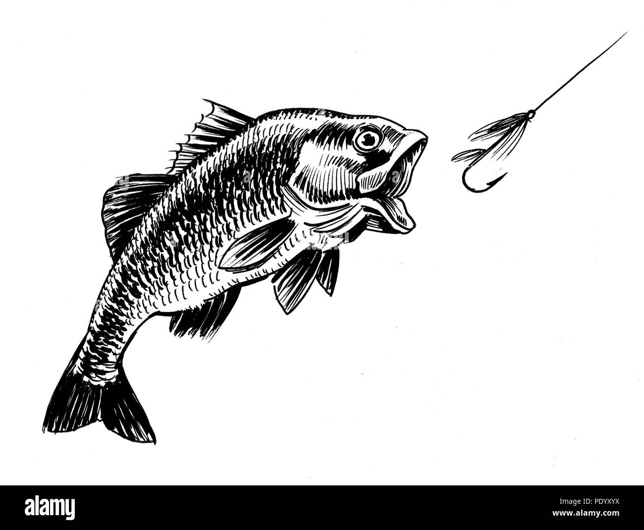 Fish hook drawing Black and White Stock Photos & Images - Alamy