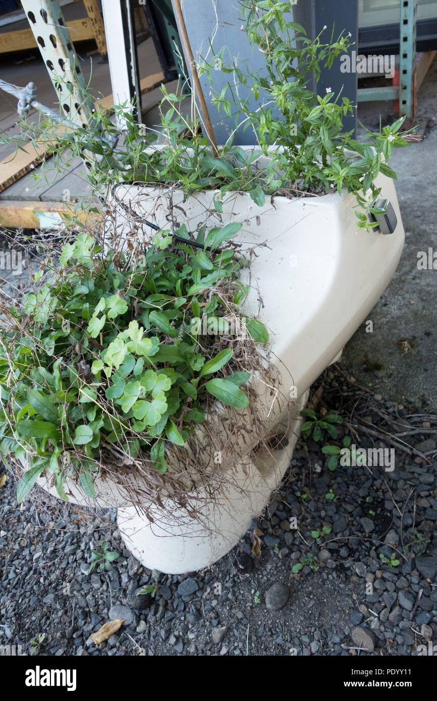 An old toilet made into a planter, at Bring Recycling center in Eugene, Oregon, USA. Stock Photo
