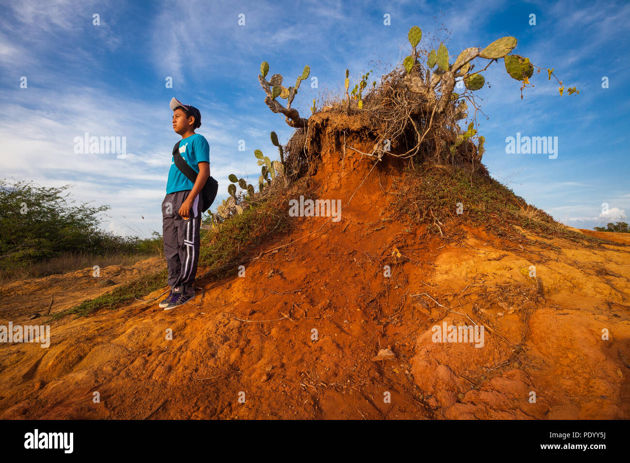 Young panamanian boy in the eroded landscape in the Sarigua national park (desert) in the Herrera province, Republic of Panama. Stock Photo