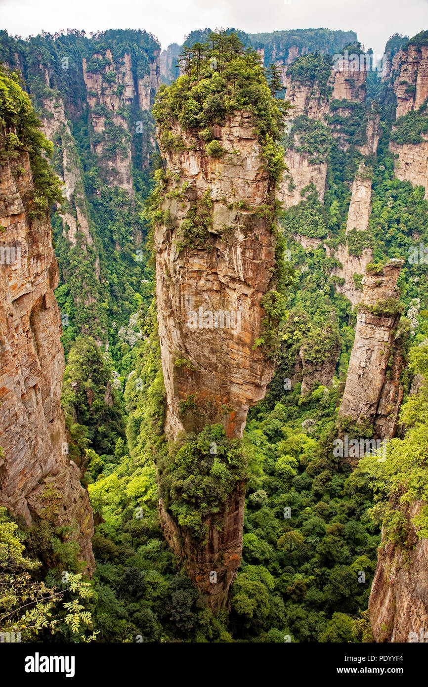 The famous pillar of Avatar Floating Mountain in Zhangjiajie National