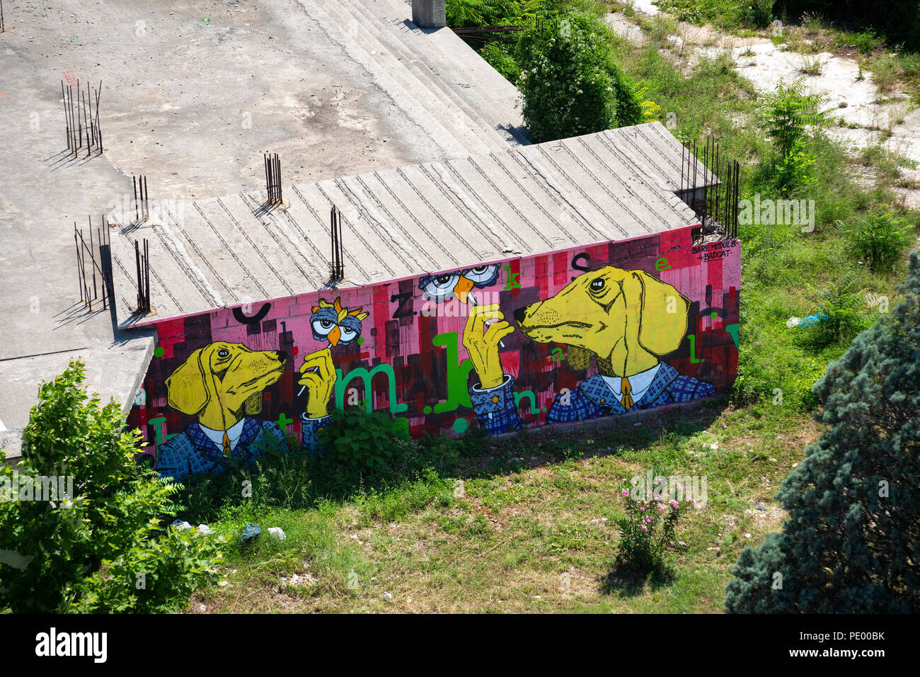 A graffiti showing two anthropomorphous dogs on a disused wall of Mostar downtown ( (Herzegovina-Neretva, Bosnia-Herzegovina). Stock Photo