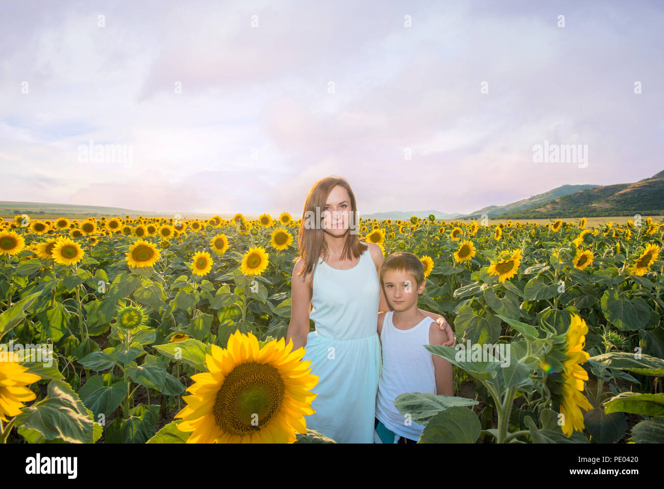 mother and son in the sunflower field Stock Photo - Alamy