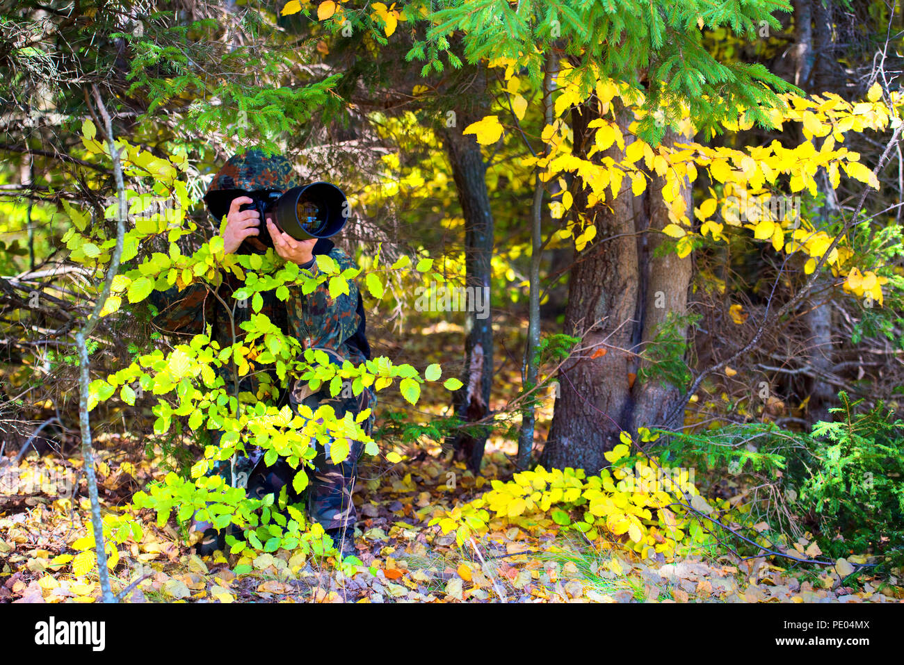 Wildlife photographer forest hi-res stock photography and images - Alamy