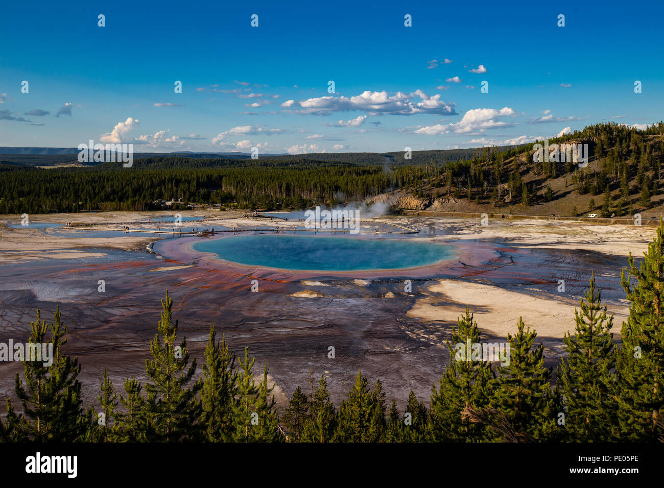 This is the picture of Grand Prismatic Spring in Summer at Yellowstone National Park in Wyoming, USA. Stock Photo