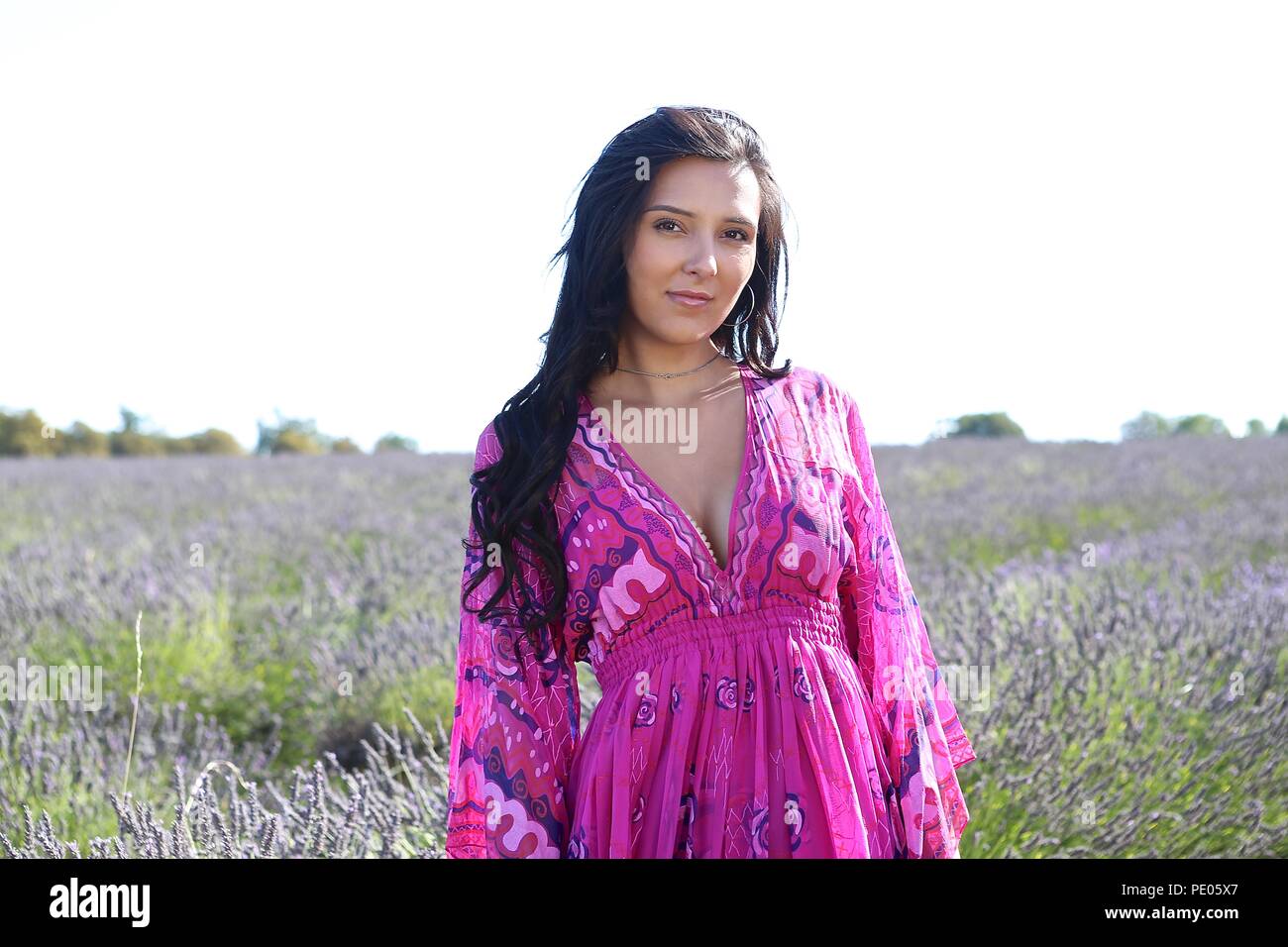 Spanish Beauty in Mayfield Lavender Field 2018 Stock Photo