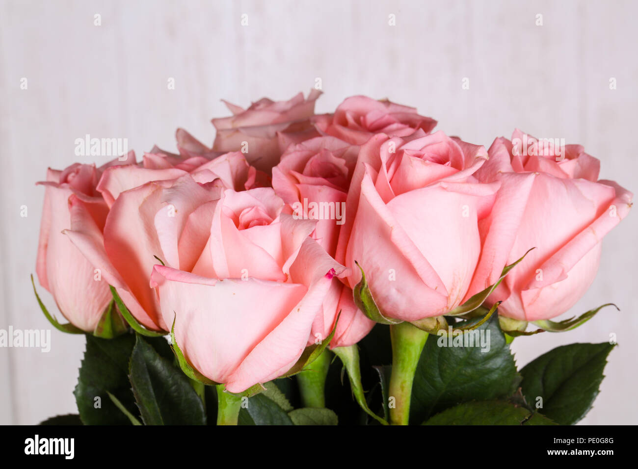 Pink roses bouquet isolated on white background Stock Photo - Alamy
