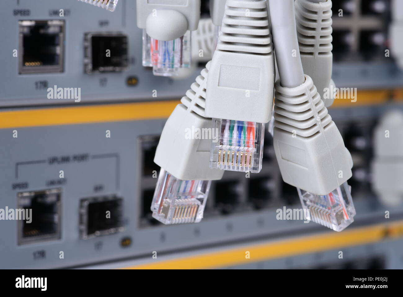 Network patch cord cable RJ45 connectors Stock Photo