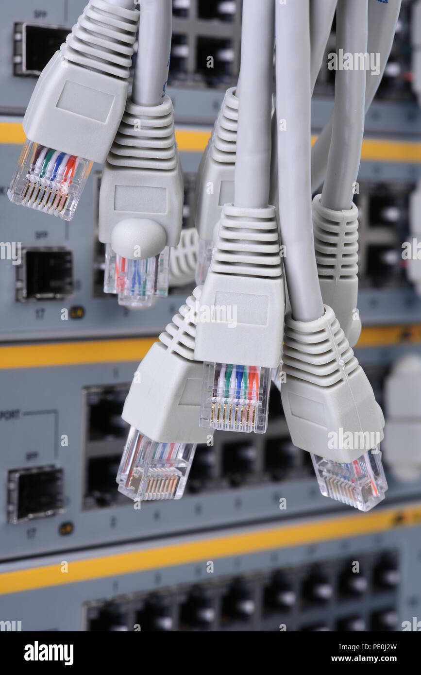 Network patch cord cable RJ45 connectors Stock Photo - Alamy