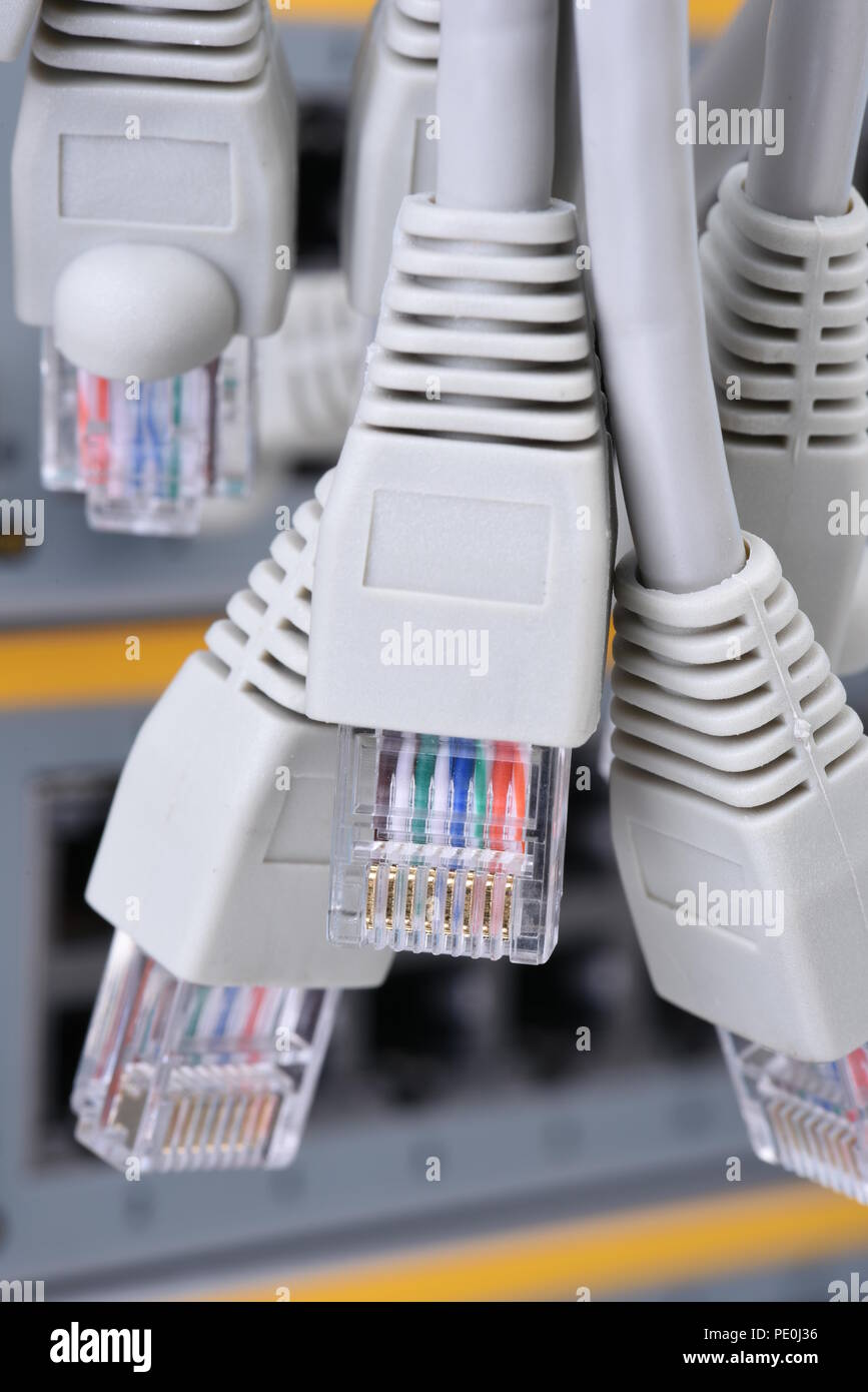 Network patch cord cable RJ45 connectors Stock Photo - Alamy
