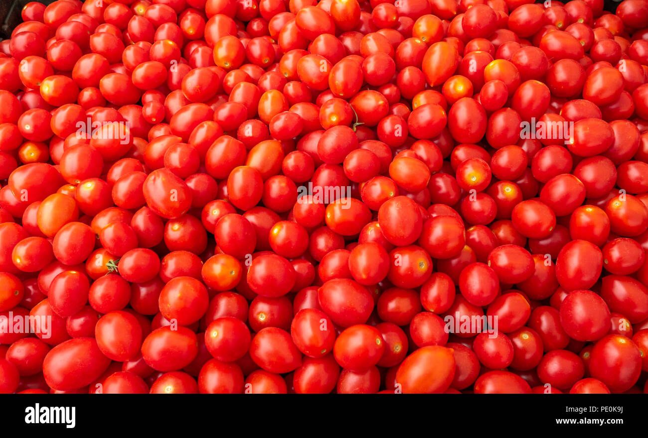 Pile of Small Tomatos for Sale in Market Stock Photo