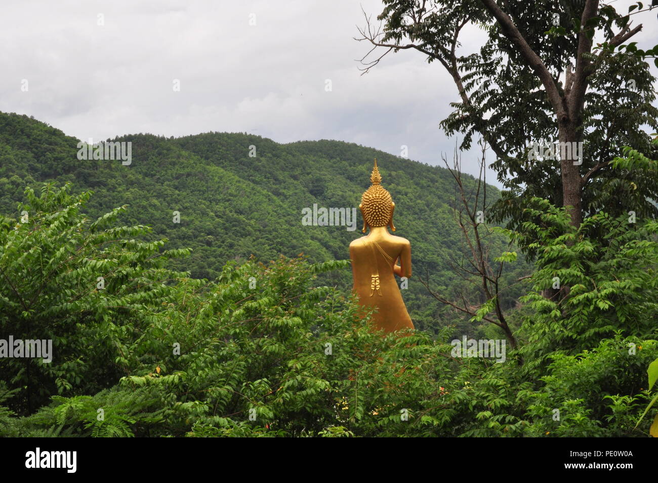 Buddha’s Greeting to the World, Wat Phra That In Khaen Temple, North Thailand, Mountains, Evergreen Trees, Nature Experience, Religious Experience Stock Photo