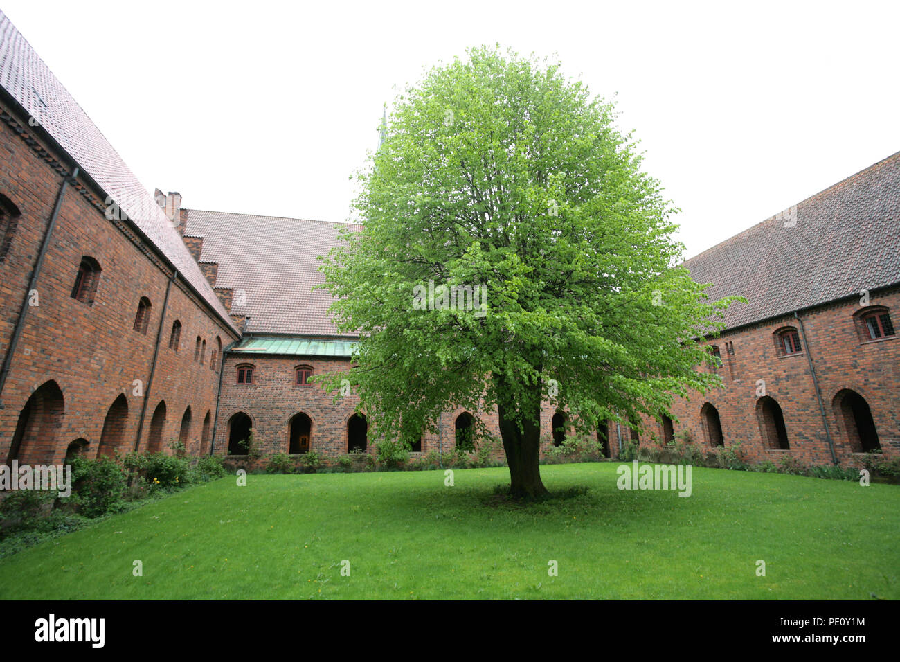 Vor Frue Monastery, a Carmelite monastery in Elsinore (Helsingør Stock