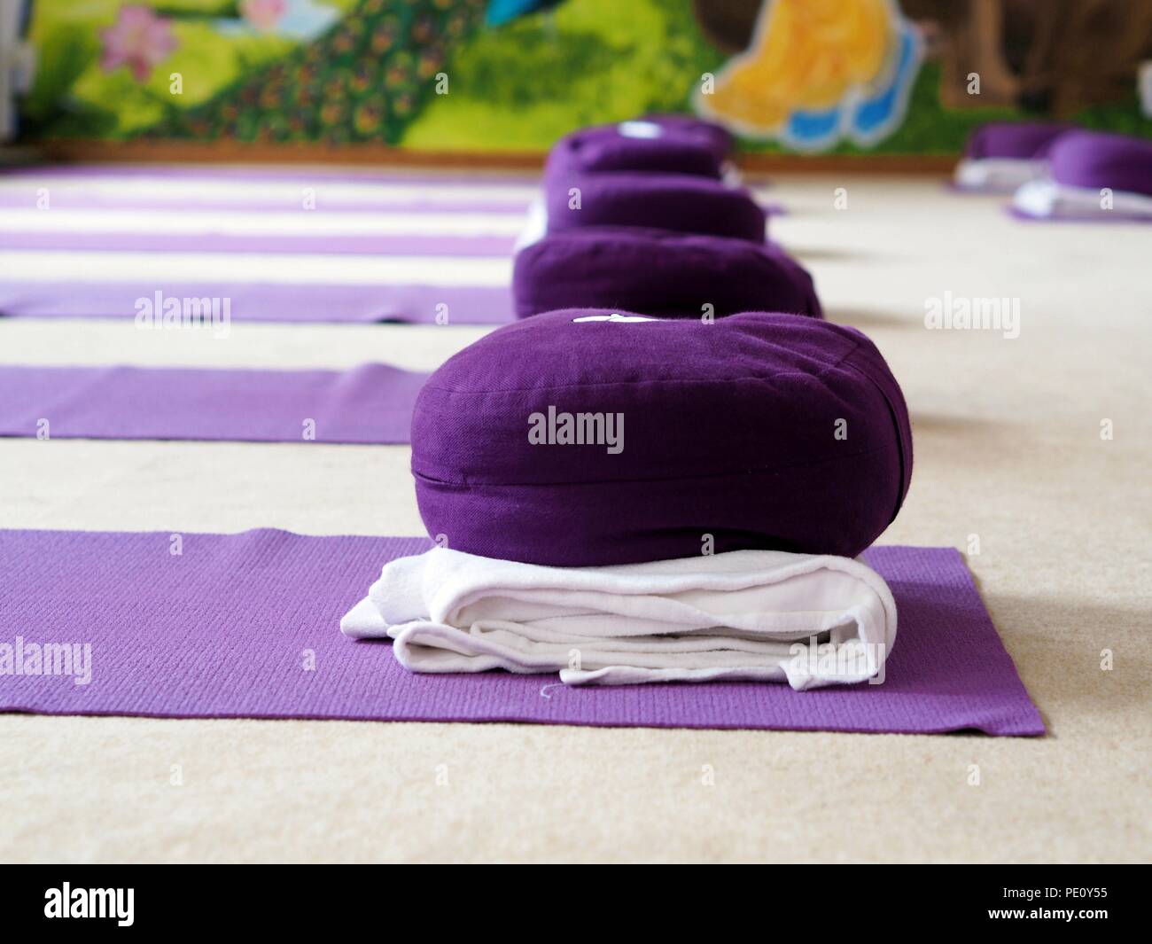 yoga cushion mat