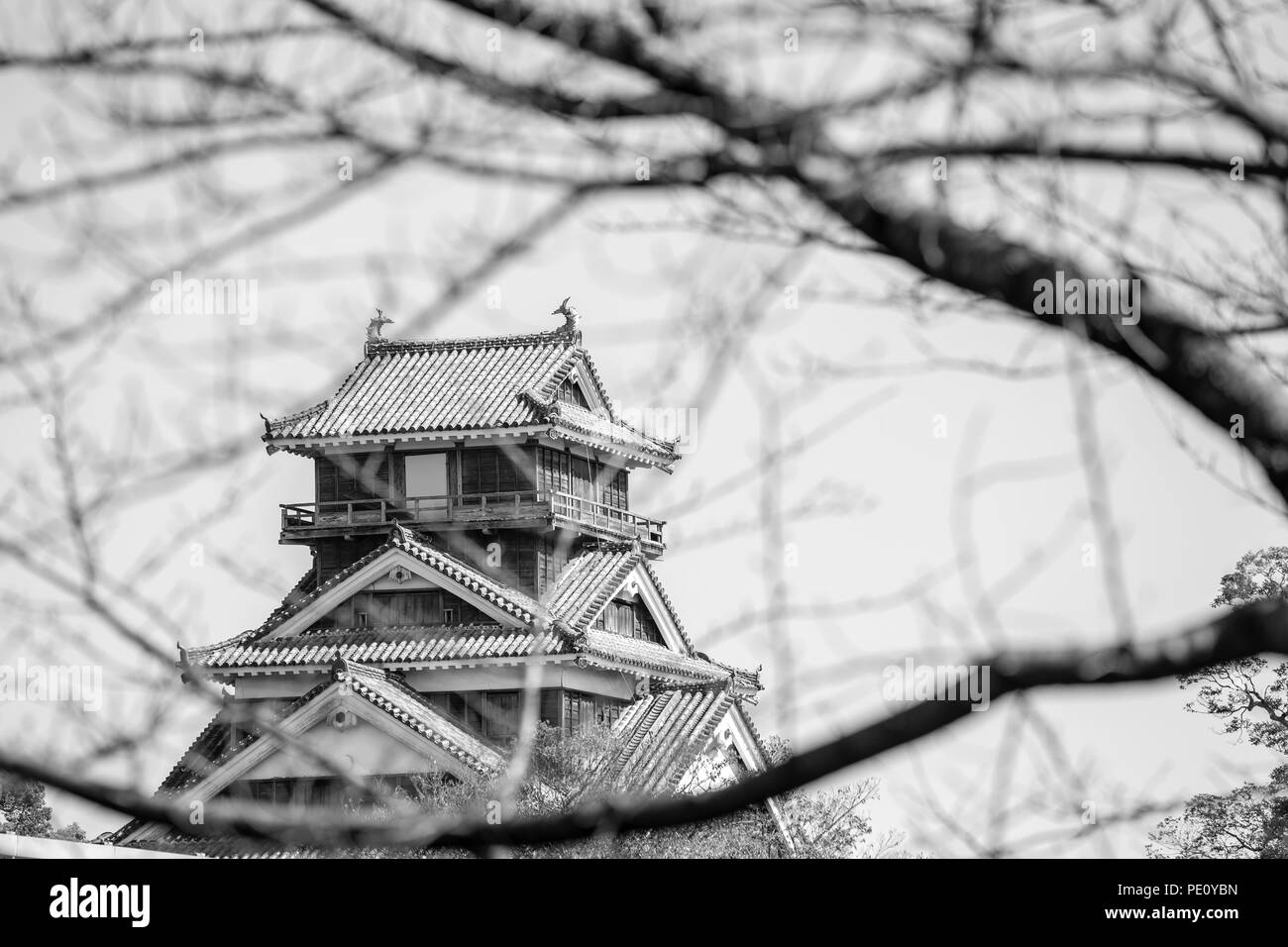 Kumamoto Black and White Stock Photos & Images - Alamy Kumamoto Black and White Stock Photos & Images - Alamy