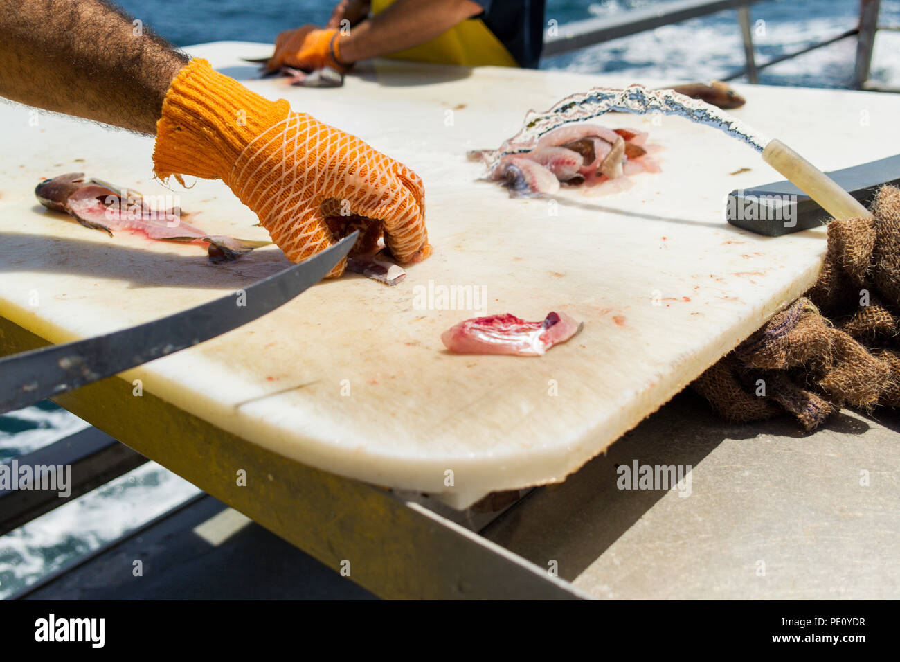 Fisherman wearing gloves cutting fish fillets on cutting board. Fisherman on boat deck preparing fish over looking ocean. Stock Photo