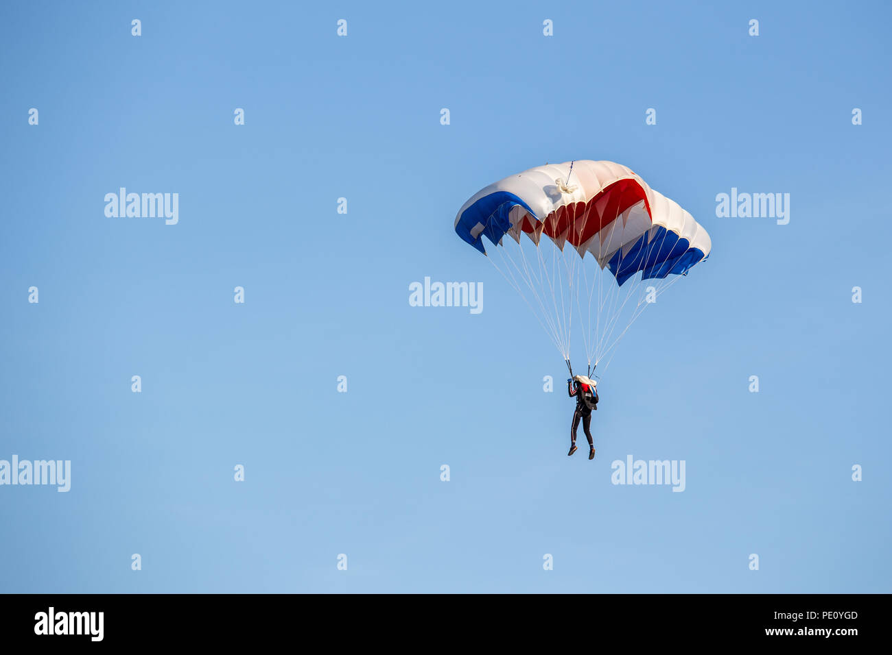 isolated skydiver control colorful parachute gliding after free fall jump with blue sky