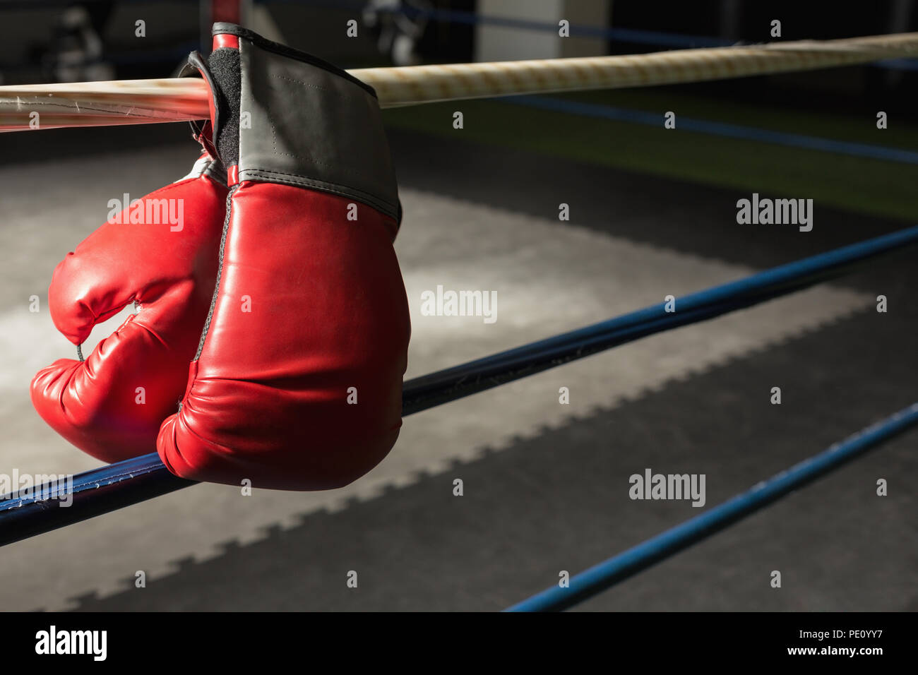 Boxing gloves on the boxing ring Stock Photo