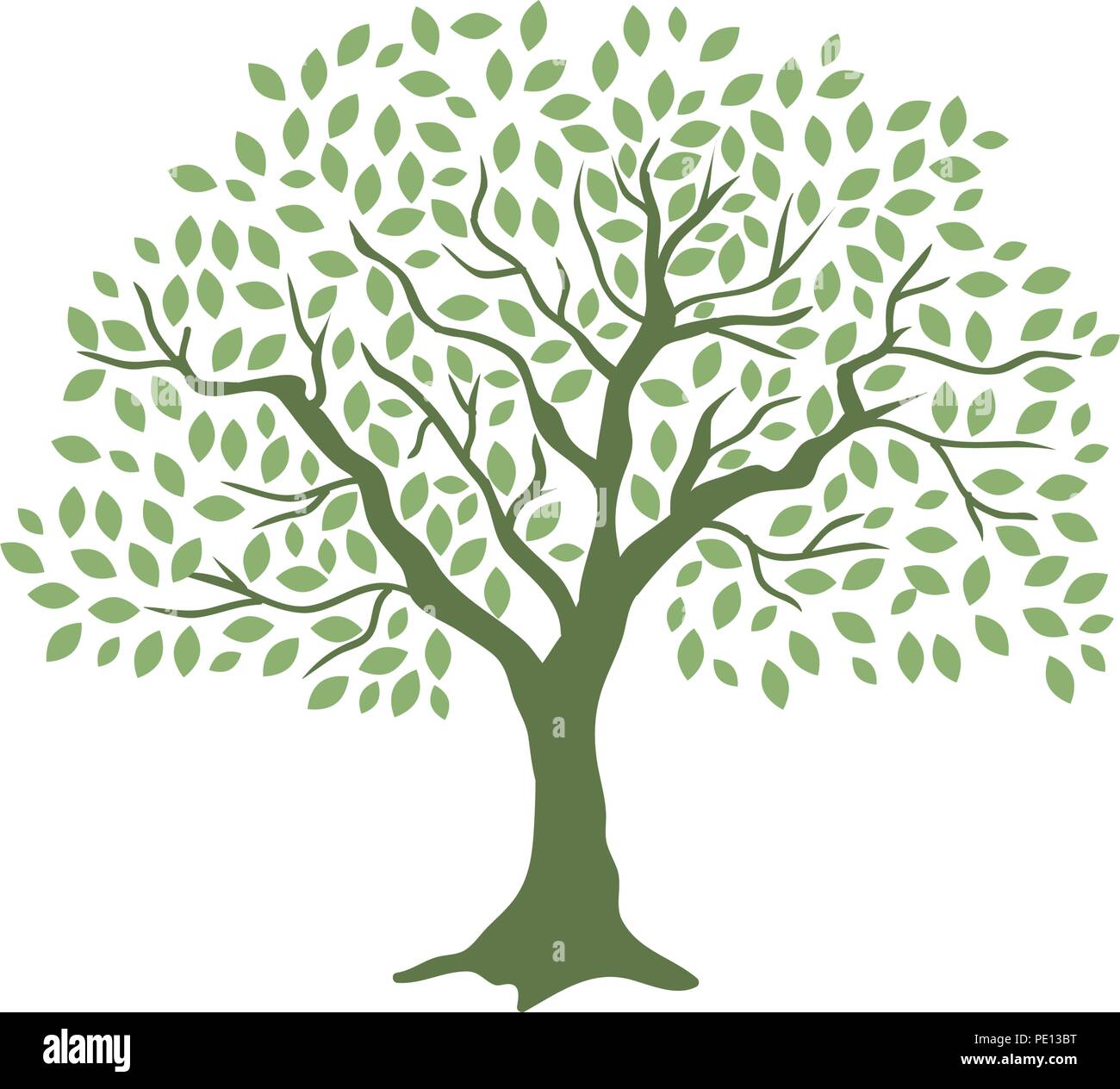 Albero della vita  Family tree wall, Tree wall decal, Family tree wall  decal