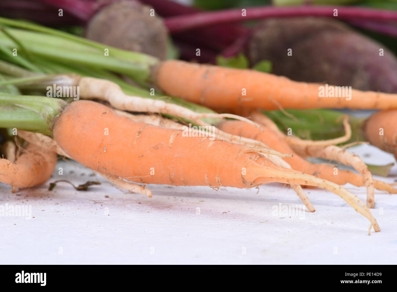 Fresh carrots closeup on wooden background Stock Photo
