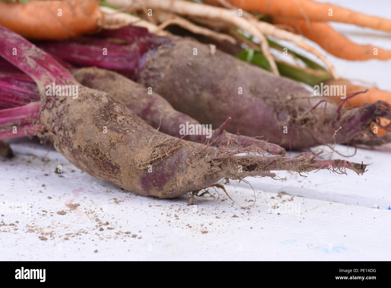 Fresh beets with other vegetables closeup on wooden background Stock Photo