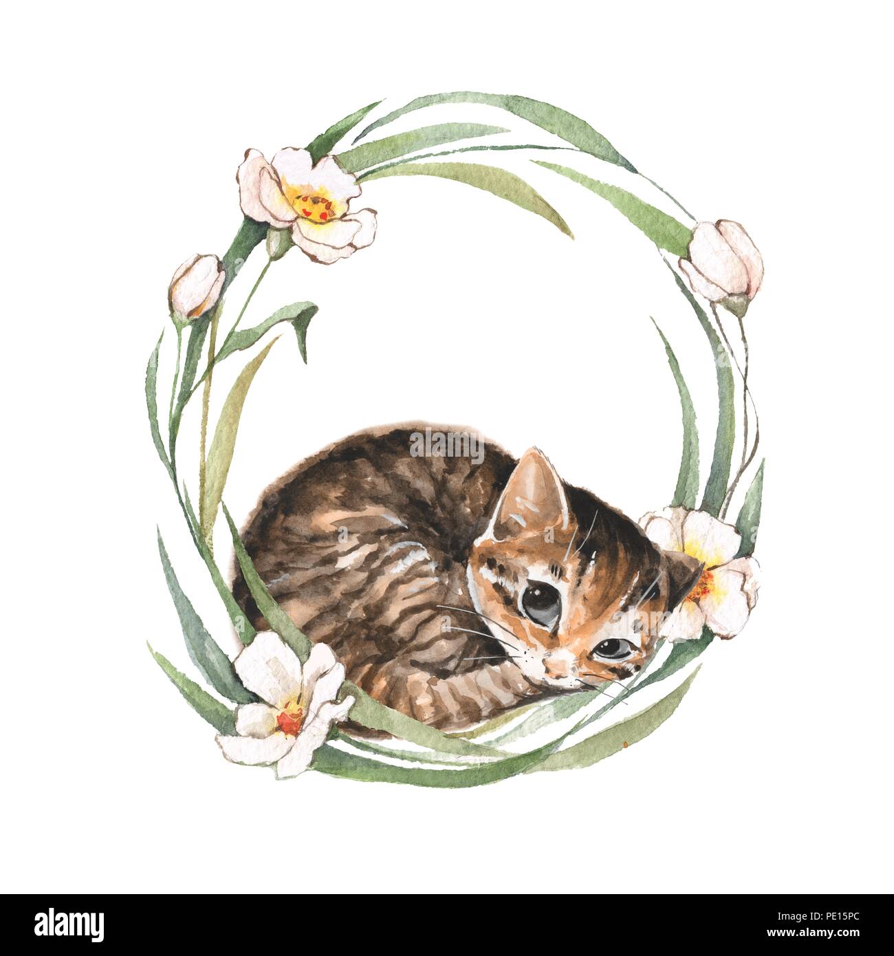 Cute kitten. Watercolor illustration Stock Photo - Alamy