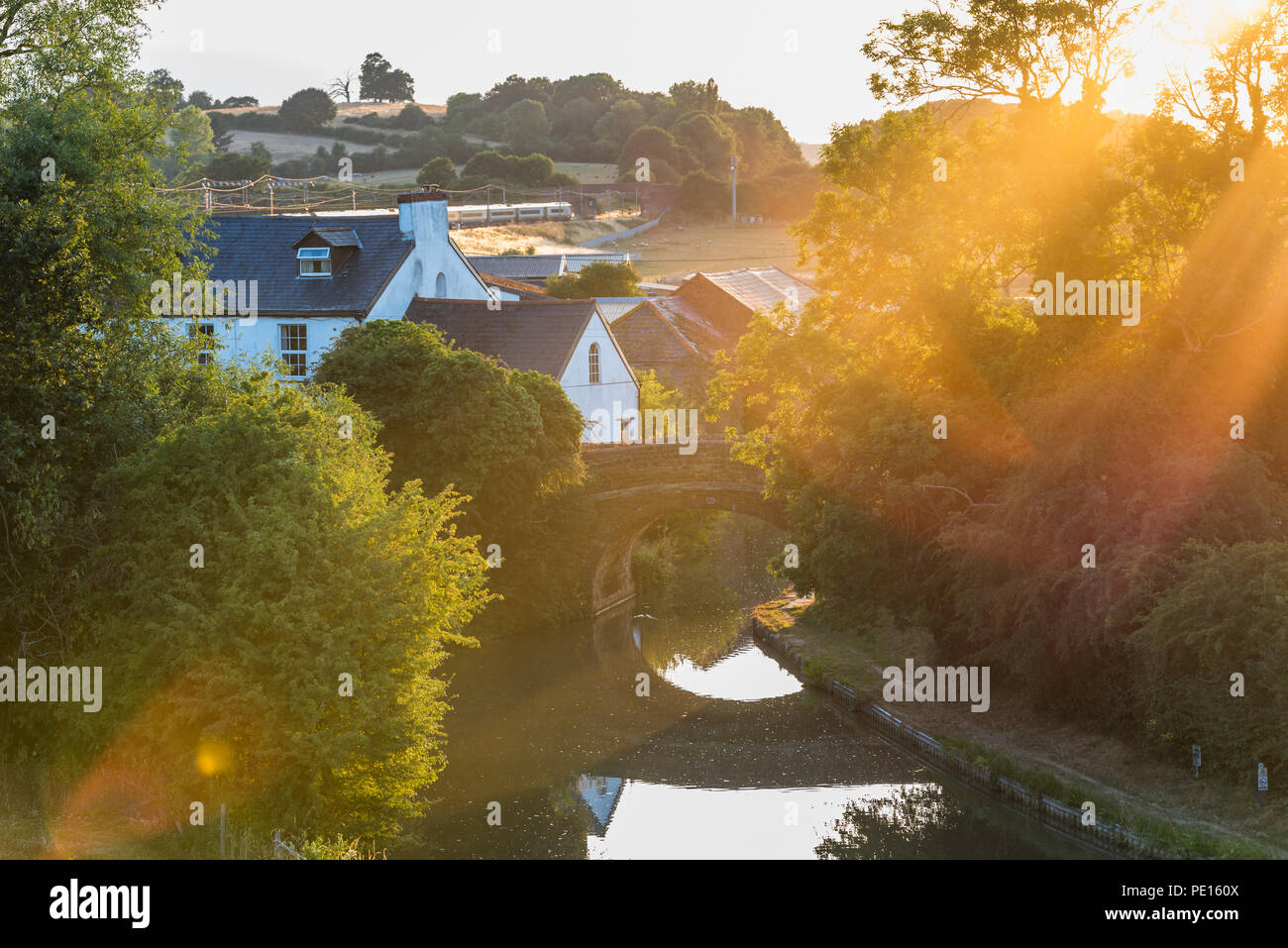 Sunset view flying midges over British rural landscape scene with river near Northampton. Stock Photo