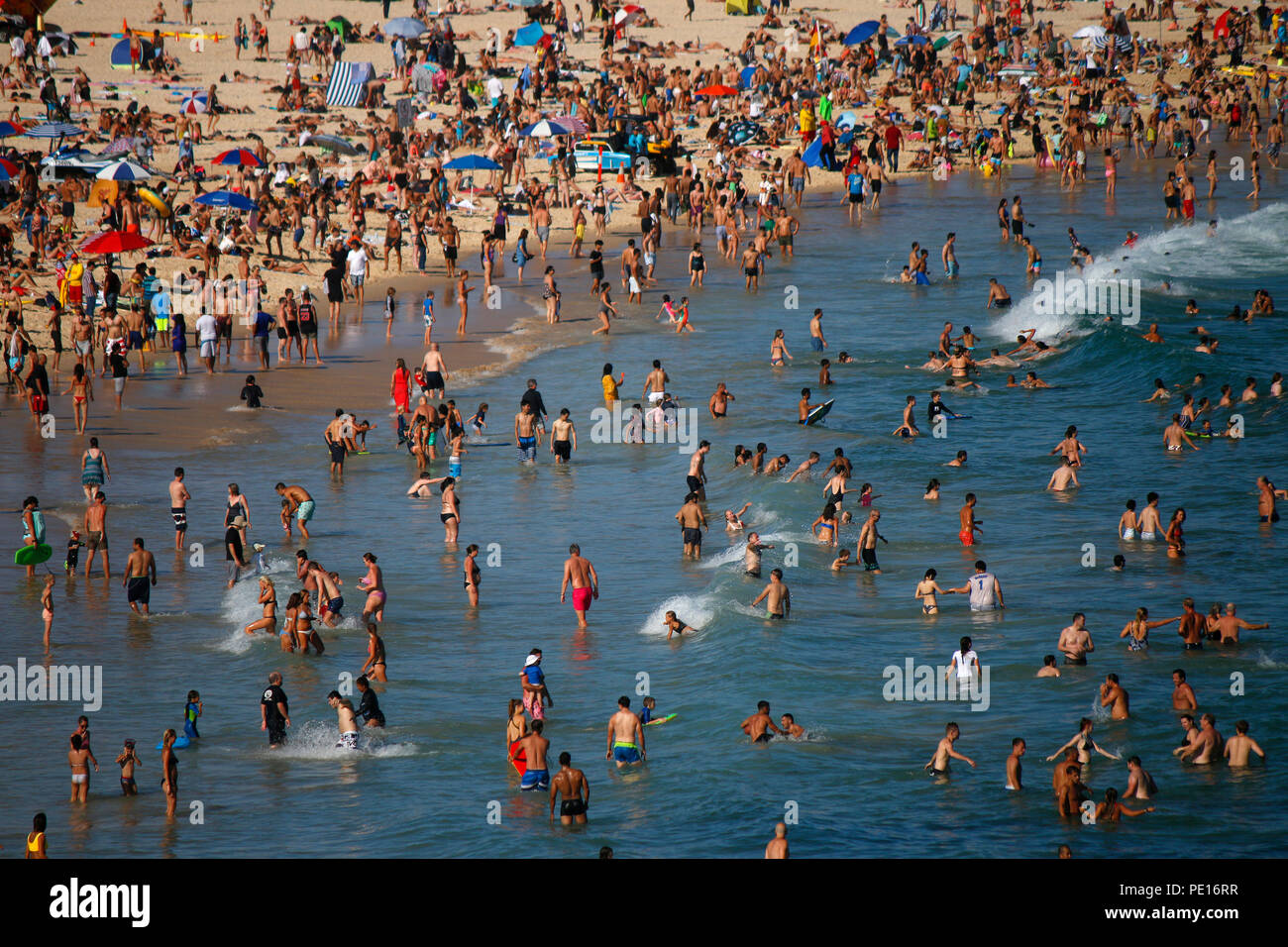 December 30, 2017: Temperatures over 35 degrees Celsius pull masses of people to the crowded city beaches of Sydney, here Bondi Beach, Sydney, Austral Stock Photo