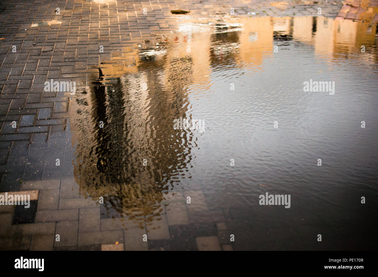 Buildings are reflected in a winter puddle Stock Photo - Alamy