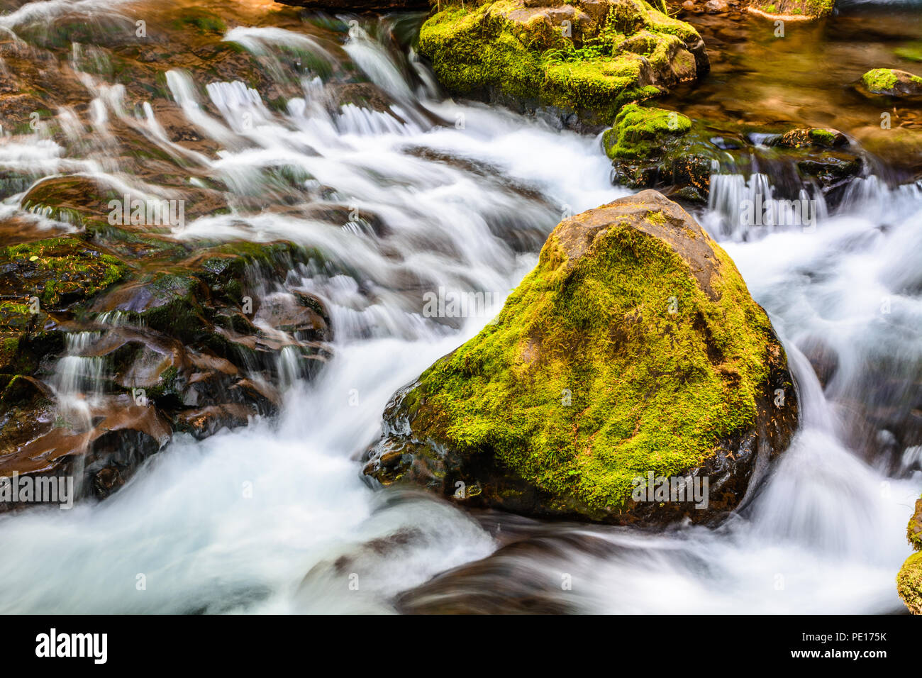 A moss covered boulder sits adjacent to several small cascading waterfalls along Panther Creek in Southern Washington. Stock Photo