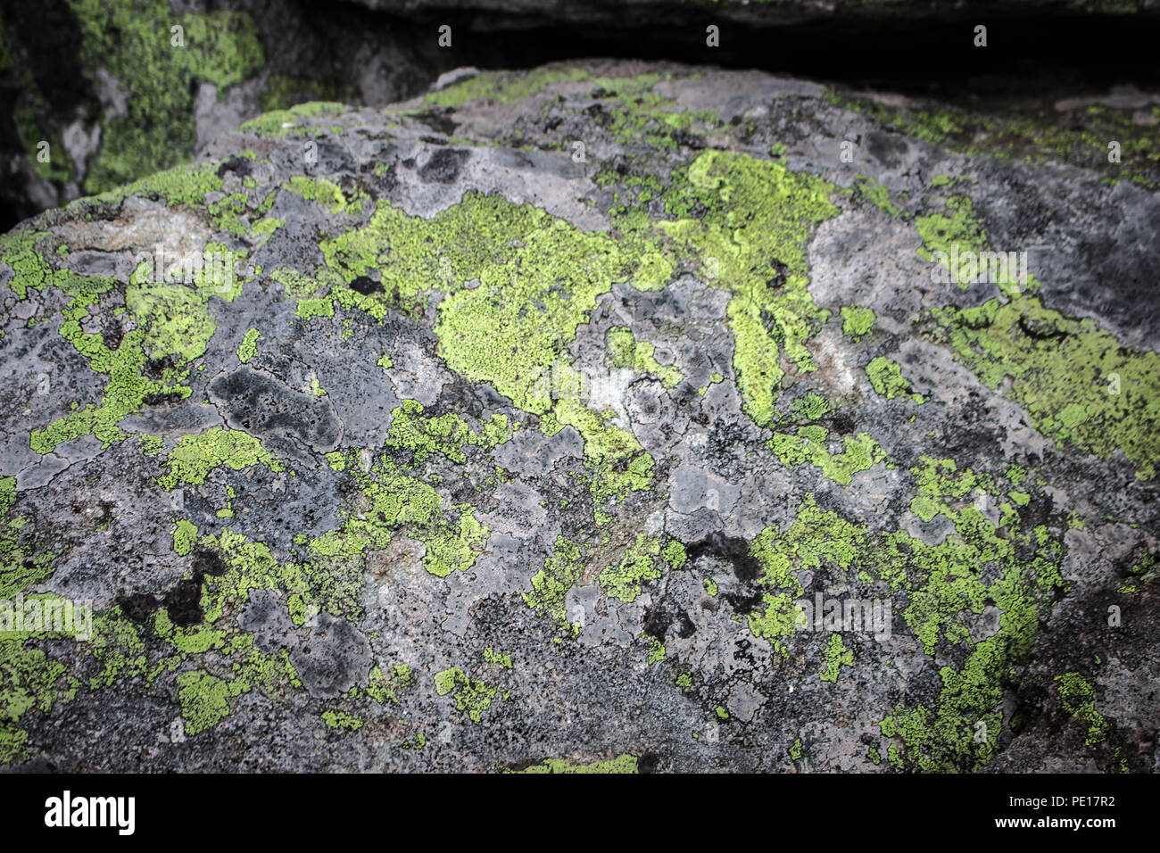 The map lichens / Rhizocarpon geographicum on the rock on the Sharr mountain Stock Photo