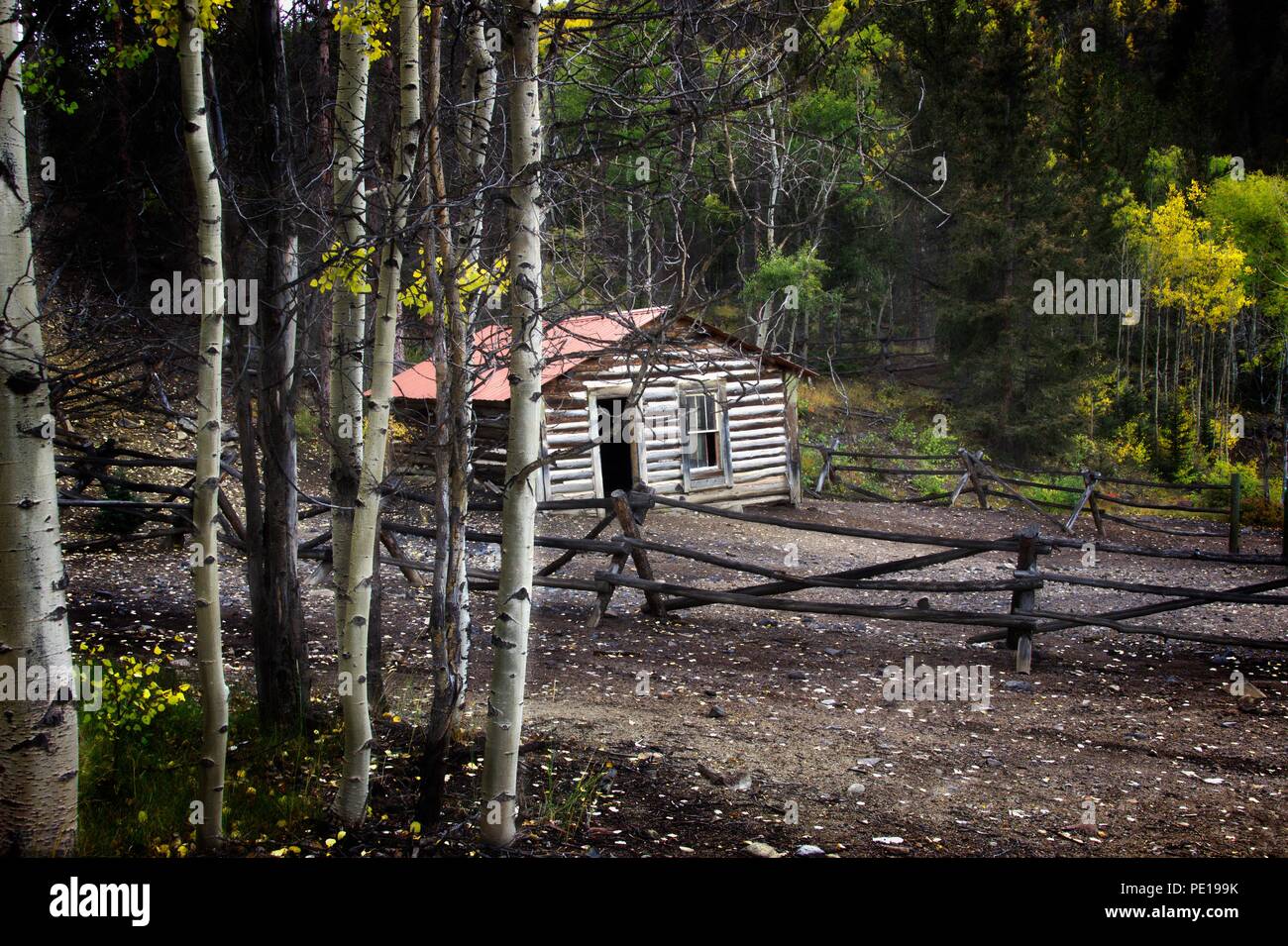 Cabin Living This Seemingly Abandoned Cabin Is Nestled Deep In