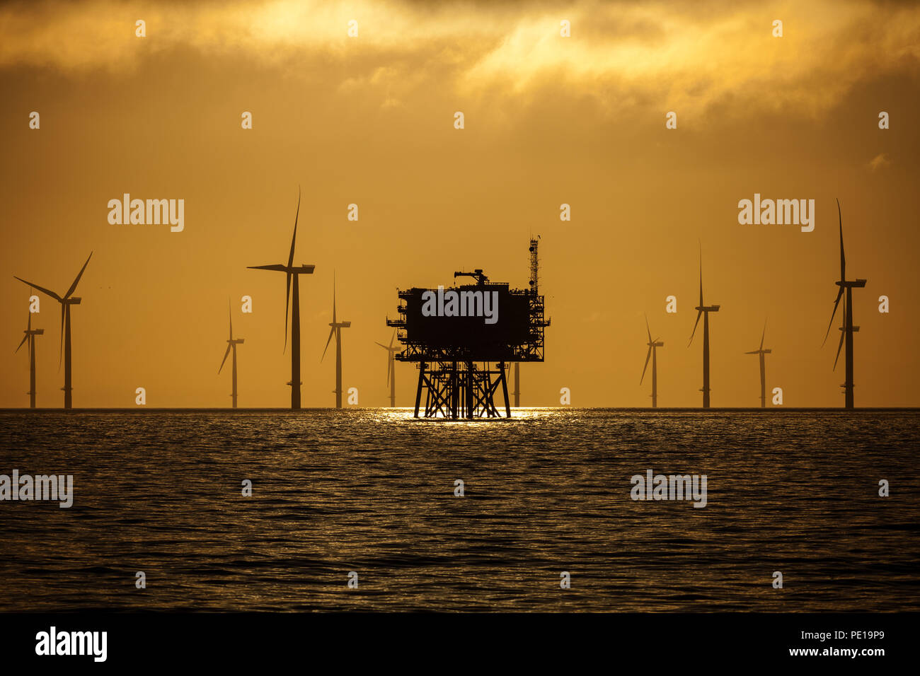 Walney Extension Offshore Wind Farm in the Irish Sea at sunrise Stock Photo