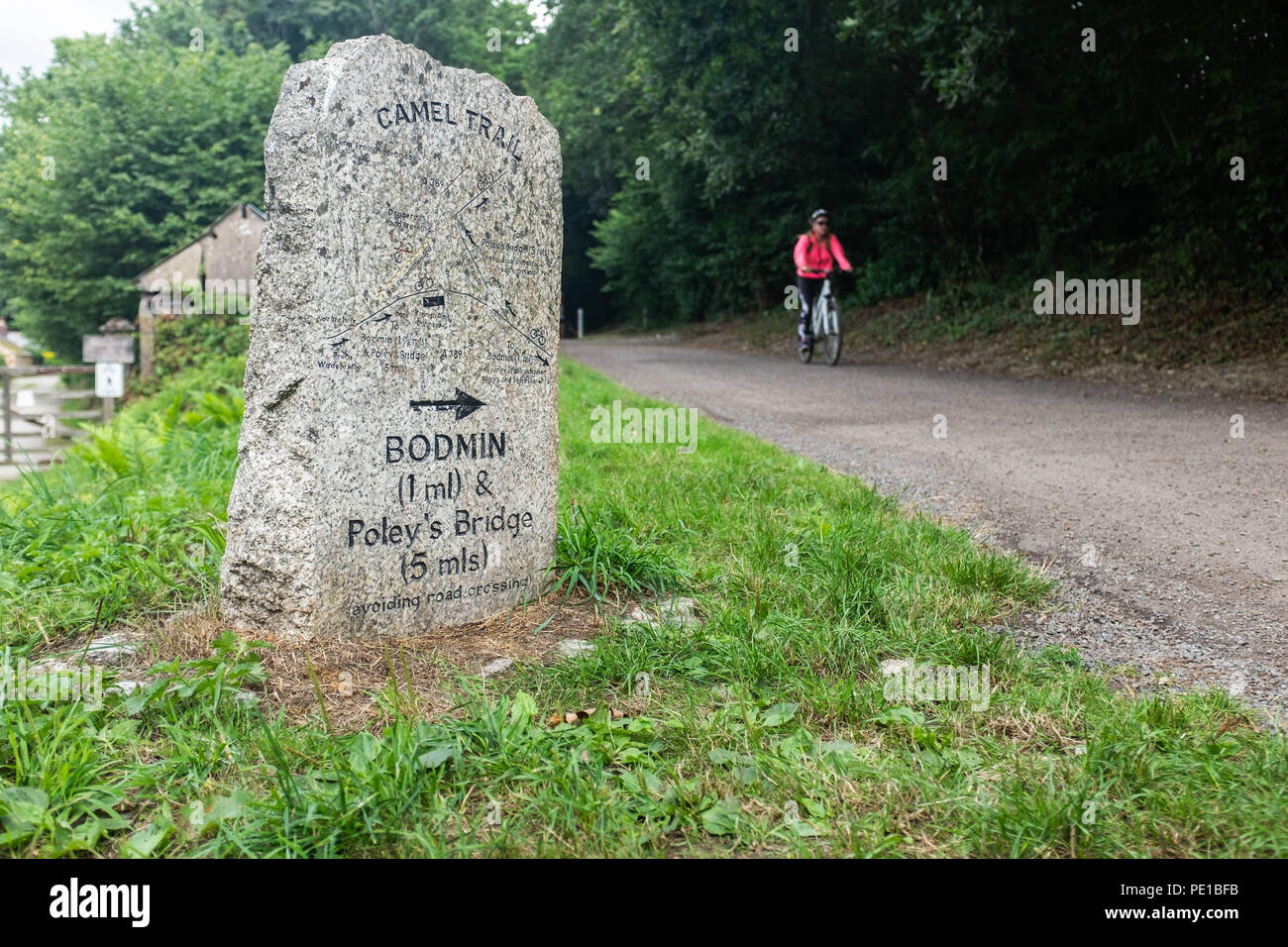The Camel Trail cycle ride, Padstow, Cornwall Stock Photo Alamy