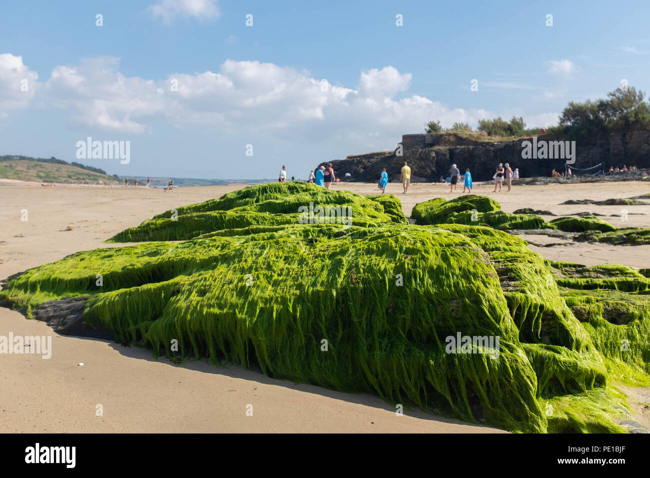St. Cove, beach, Padstow, Cornwall Stock Photo Alamy