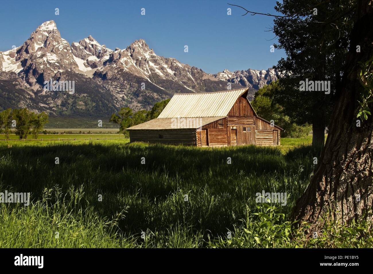 Historic Barn and the Teton Range: View of the historic T. A. Moulton barn just clearing the early morning shadows at the base of the Teton Range. Stock Photo
