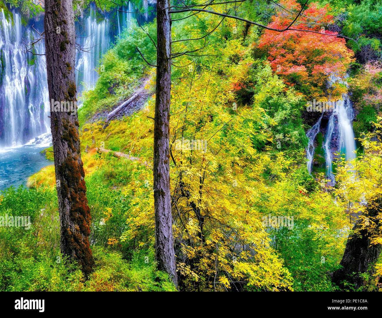 Burney Falls with fall color. McArthur-Burney Falls Memorial State Park. California Stock Photo