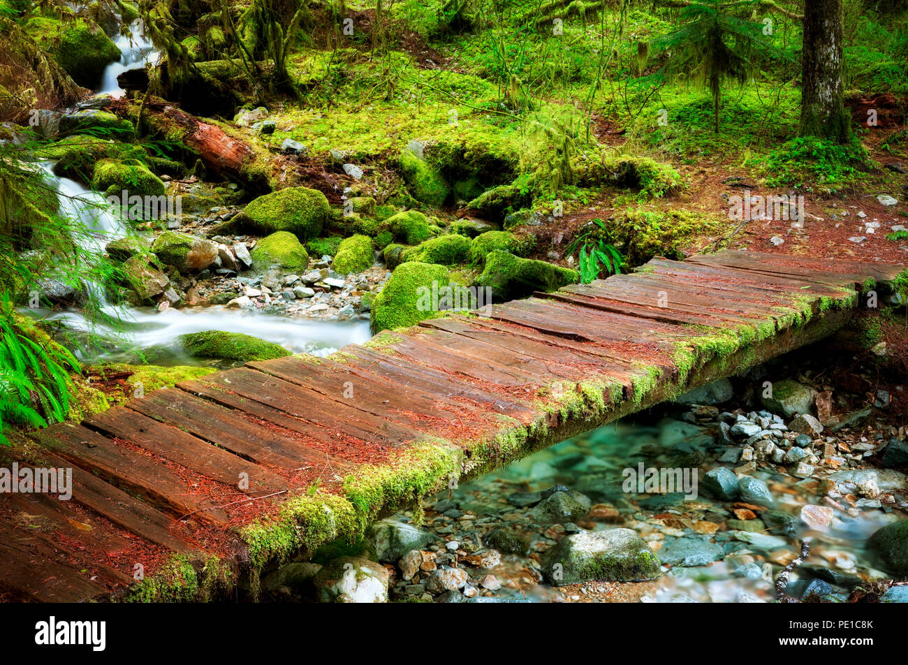Bridge over small creek with mossy rocks. Opal Creek Scenic Recreation Area, Oregon Stock Photo