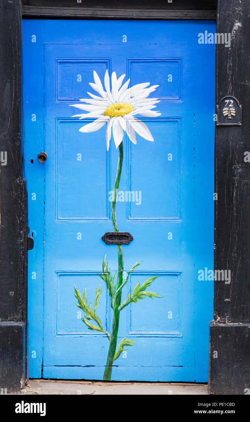 Hand painted Daisy on a front door, England, UK Stock Photo