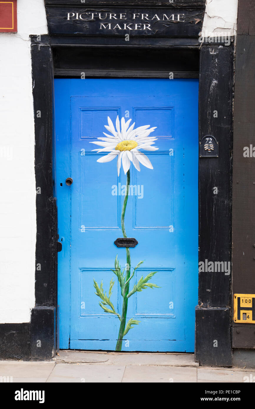 Hand painted Daisy on a front door, England, UK Stock Photo