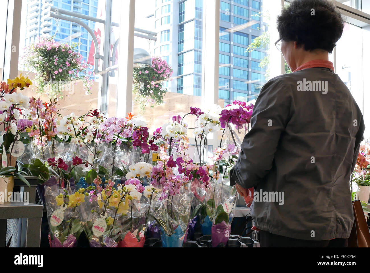 Burnaby, BC, Canada - May 30, 2018 : Motion of of people buying orchid on display flower rack inside price smart foods store Stock Photo