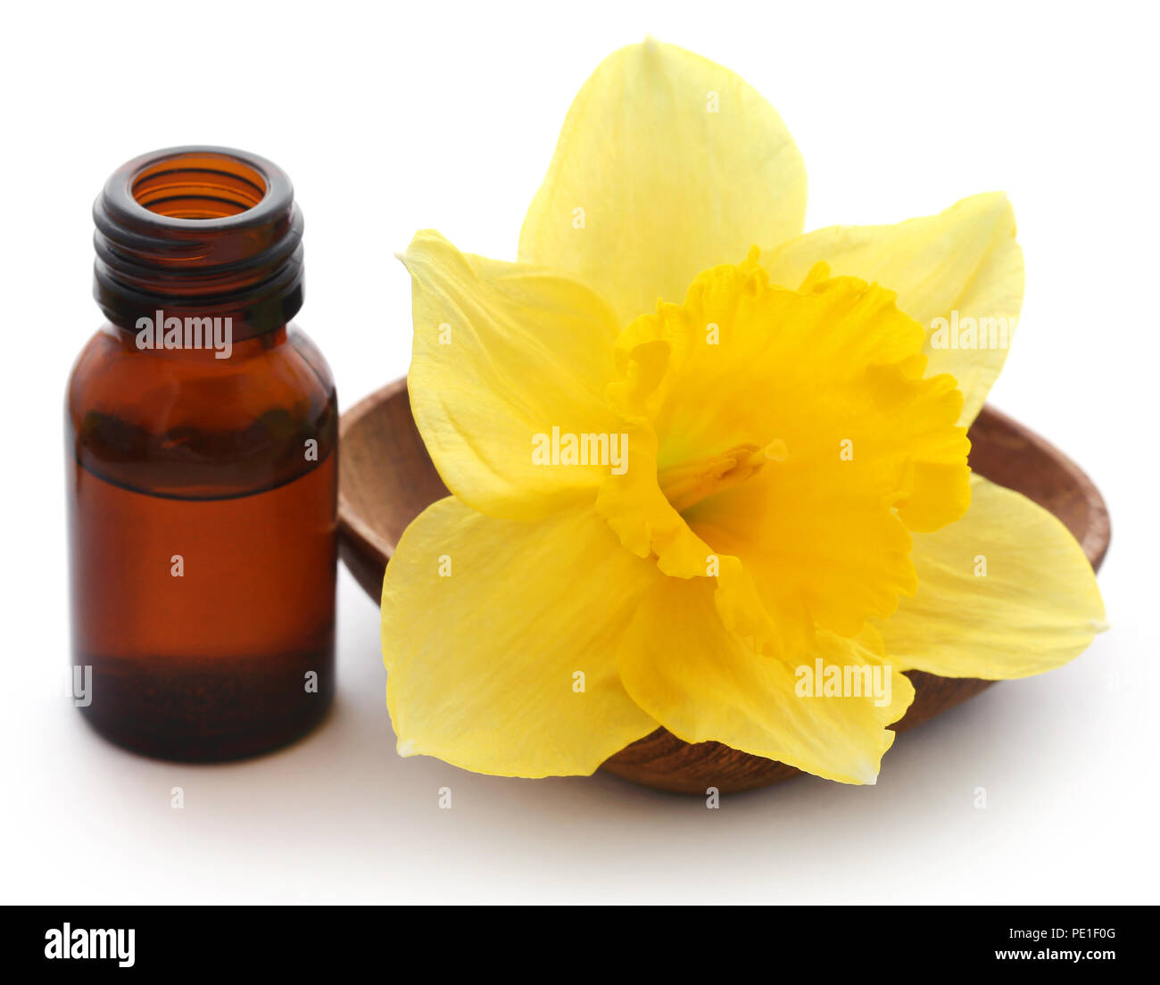 Flower daffodil with essential oil in a glass bottle over white background Stock Photo Alamy