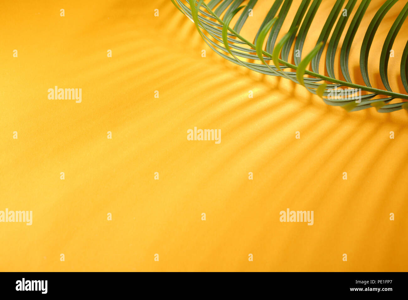 Tropical green leaves background Stock Photo Alamy