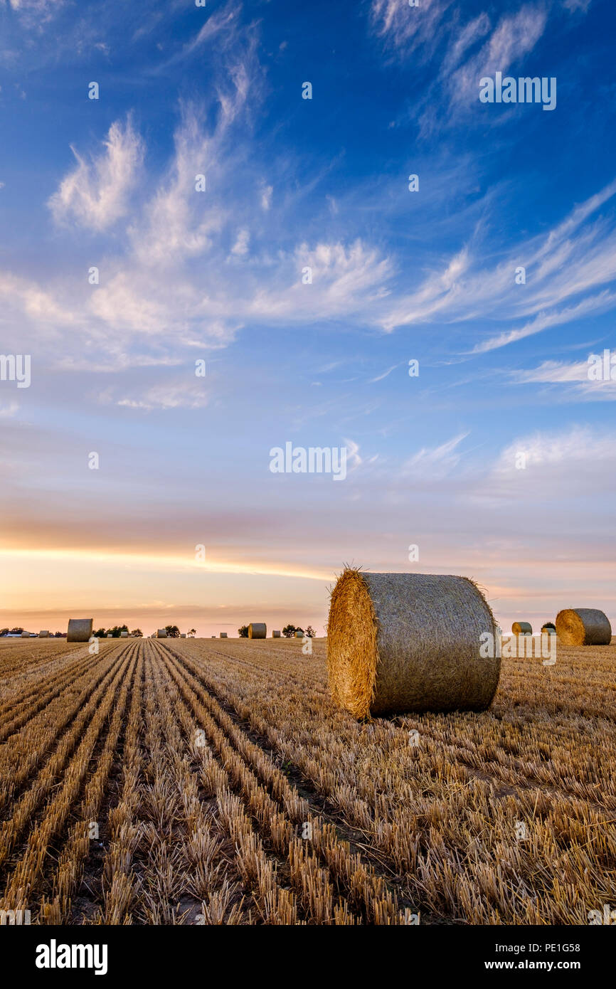 Straw Bales in a field at sunset on a summers evening Stock Photo - Alamy